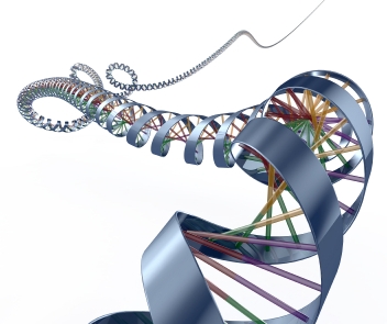 DNA design