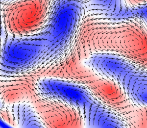 A velocity field