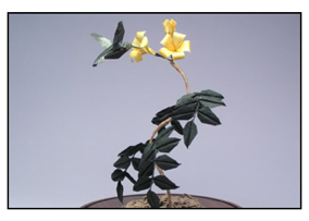 <i>Hummingbird & trumpet vine</i> made from multiple sheets of Korean hanji paper, wire, and wood. Size: 15 inches. Image courtesy <a href='http://www.langorigami.com'>Robert J. Lang</a>.