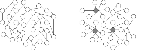 Two different networks