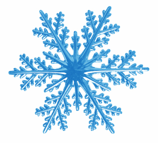 A snowflake