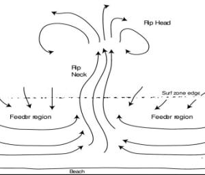 The structure of a rip