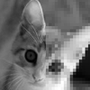 Feature icon