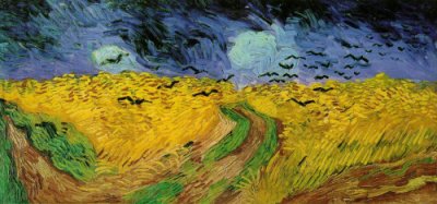 Wheat field with crows