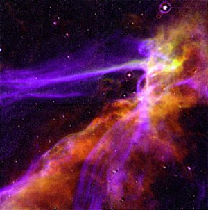 An image of a remnant of the Cygnus Loop supernova.