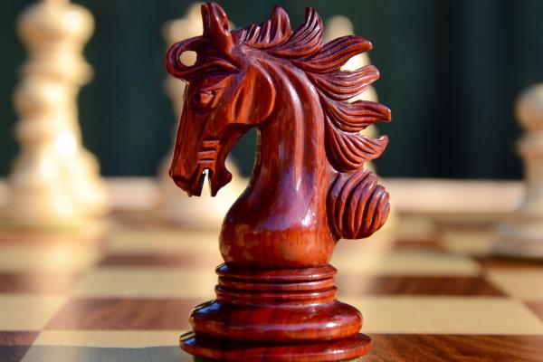 Black wooden knight on a chessboard