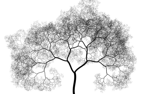 Black and White tree