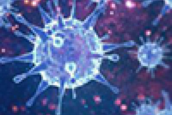 virus