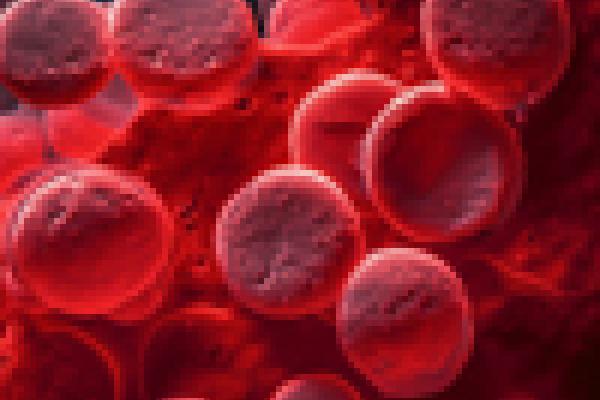 blood cell illustration