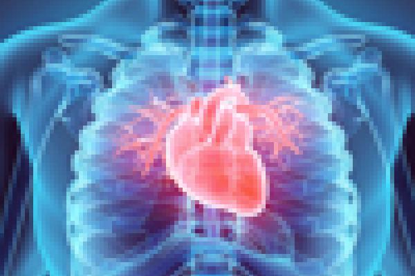 heart