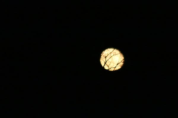 moon