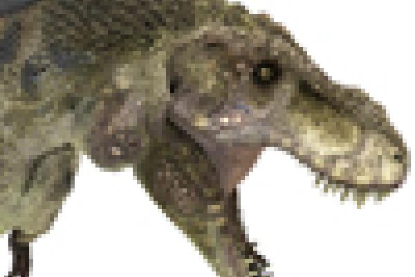 T-Rex head