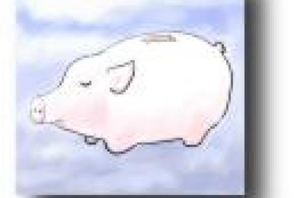 flying piggybank
