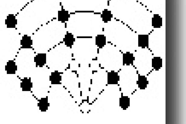 Image of the game layout