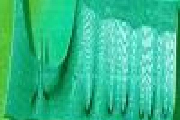 Riemann zeta function