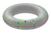 Torus