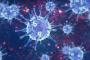 Illustration of coronavirus