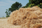 A Haystack in Nainital (Image by Perplexus – CC-BY-SA-4.0)