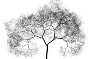 Black and White tree