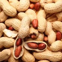 Monkey Nuts some open