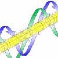 Arrows around a yellow tube