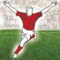 Football player with their arms in the air