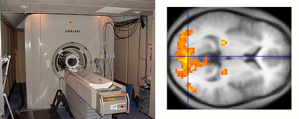 fMRI scanner and brain activity